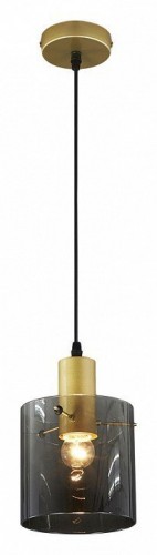 Подвесной светильник Escada Sense 1104/1S