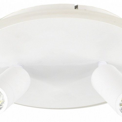 Настенно-потолочный светильник Escada 20046LED 20046SMA/02LED WH Настенно-потолочный светильник Escada 20046LED 20046SMA/02LED WH