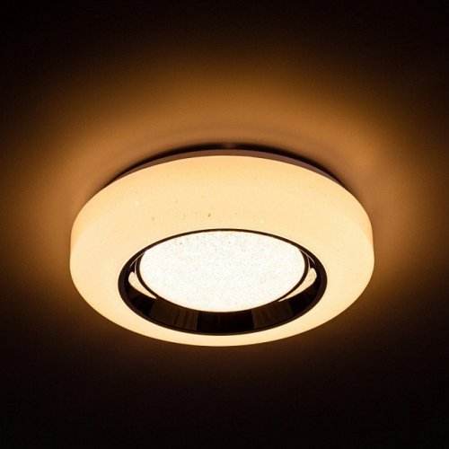 Потолочный светильник Led 10217/S LED