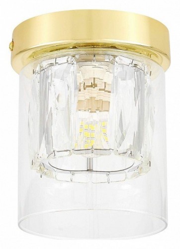 Накладной светильник Lampit DENI TC 2020-1 GD Накладной светильник Lampit DENI TC 2020-1 GD