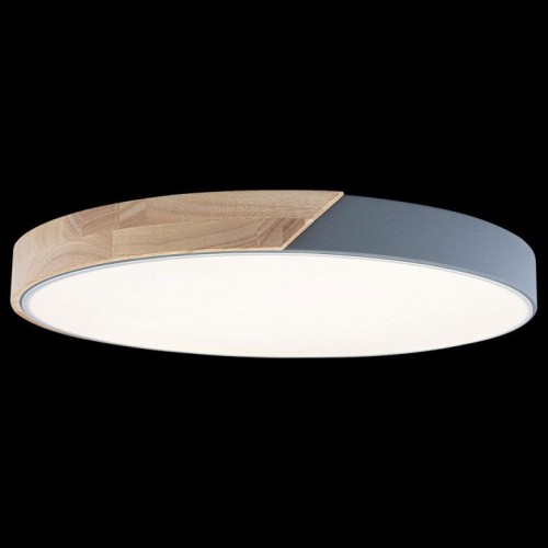 Потолочный светильник Loft IT Axel 10004/36 Grey