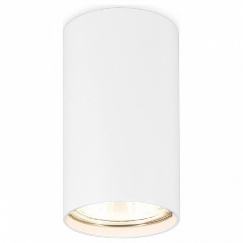 Потолочный светильник Ambrella light Techno Spot TN213108