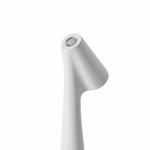 Интерьерная настольная лампа Freya Clam FR6188TL-L3W