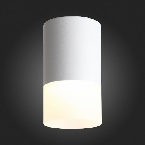Потолочный светодиодный светильник ST Luce Ottu ST100.502.05 Потолочный светодиодный светильник ST Luce Ottu ST100.502.05