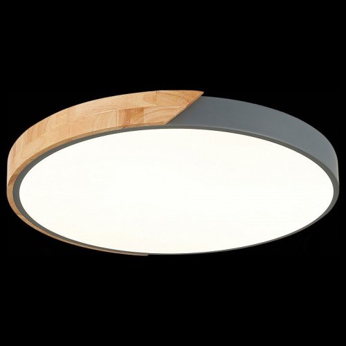 Потолочный светодиодный светильник Evoluce Festa SLE200972-01