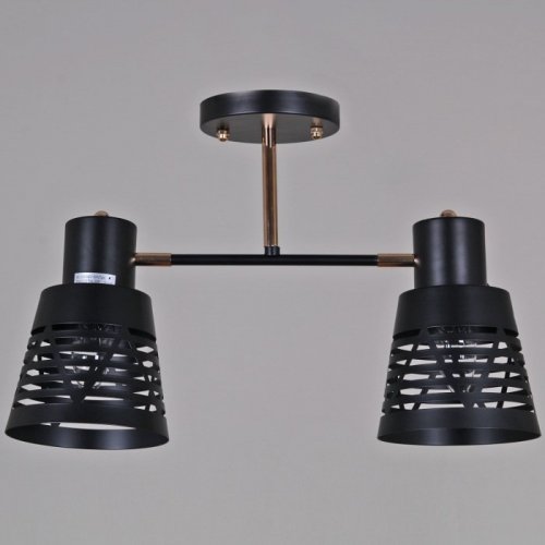 Потолочная люстра Reluce 06074-3.3-02 BK+FG