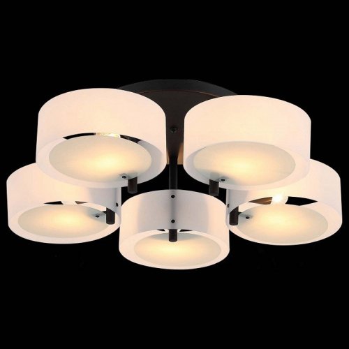 Потолочная люстра ST Luce Foresta SL483.402.05