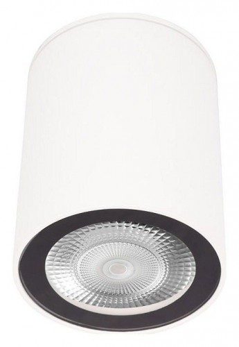 Точечный светильник Loft IT Rush 10344 White