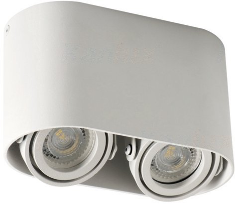 Накладные точечные светильники Kanlux TOLEO DTO250-W 26117