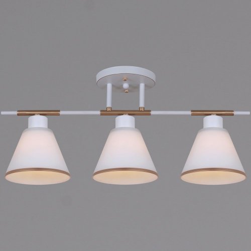 Потолочная люстра  07594-0.3-03 WG Потолочная люстра  07594-0.3-03 WG