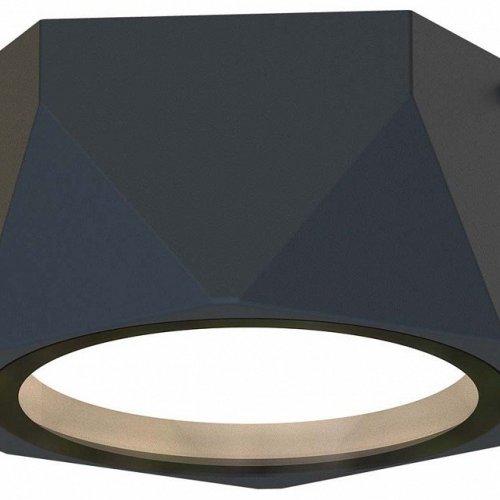 Накладной светильник Favourite Fantum 4670-1U