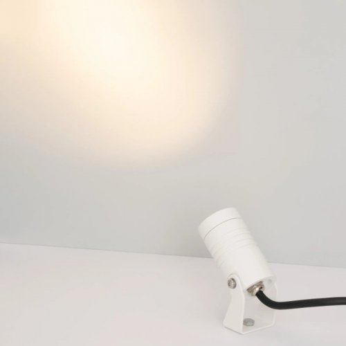 Прожектор уличный Arlight RAY 053627