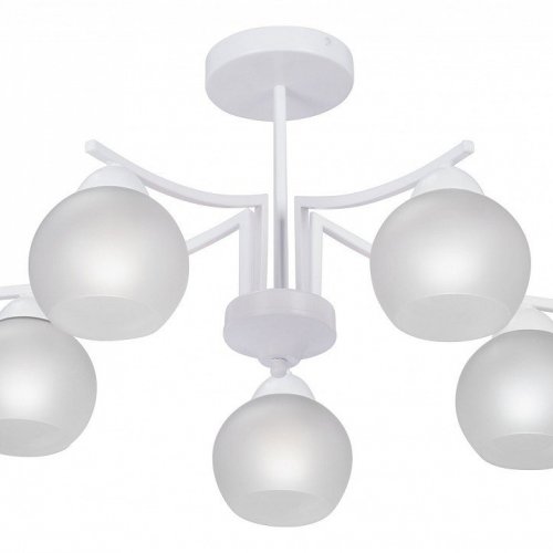 Потолочная люстра Vitaluce V4286-0/5PL