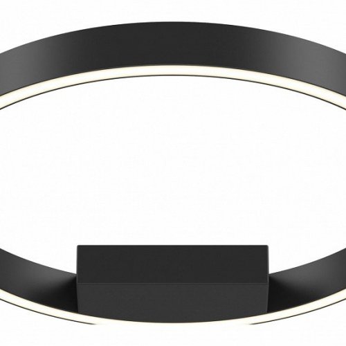 Потолочный светильник Maytoni Rim MOD058CL-L25BK
