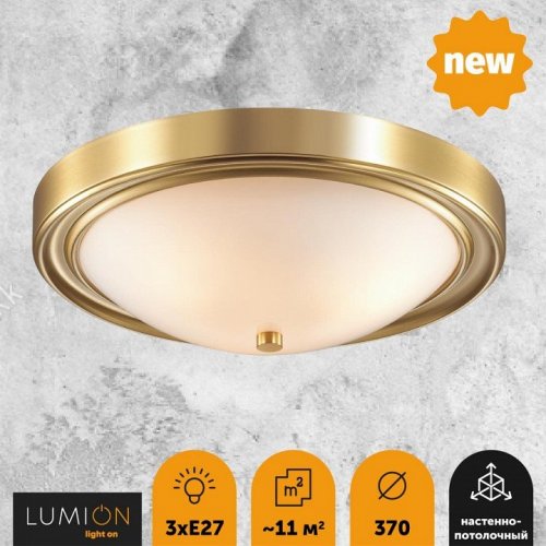 Настенно-потолочный светильник Lumion Nina 5259/3C