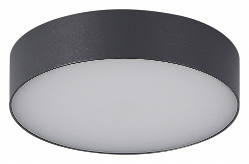 Потолочный светильник уличный ST Luce Sun SL9518.702.01