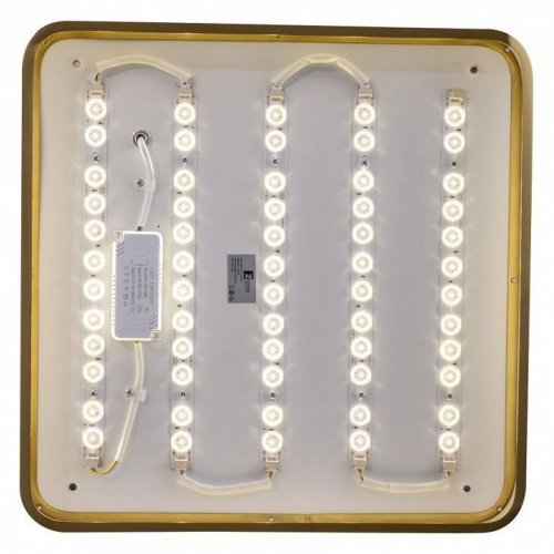 Потолочный светильник Zortes Monna ZRS.1209.03