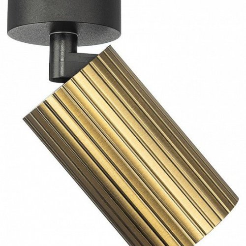 Накладной светильник Citilux AXEL CL512213R