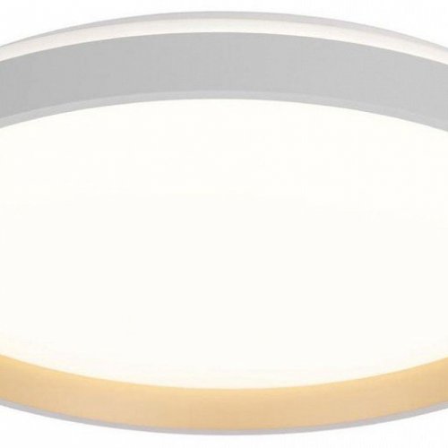 Накладной светильник Citilux ENZO CL753510G