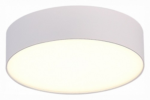 Потолочный светодиодный светильник ST Luce ST606.532.27