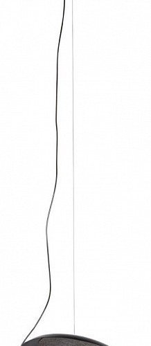 Подвесной светильник Loft IT Wonders 10237P Black Подвесной светильник Loft IT Wonders 10237P Black