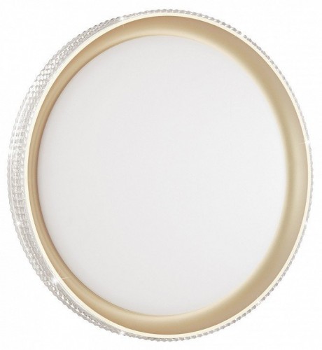 Настенно-потолочный светильник Sonex Shiny 3054/DL