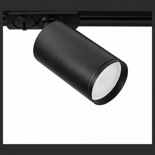 Трековый светильник Arte Lamp Flame A1519PL-1BK Трековый светильник Arte Lamp Flame A1519PL-1BK