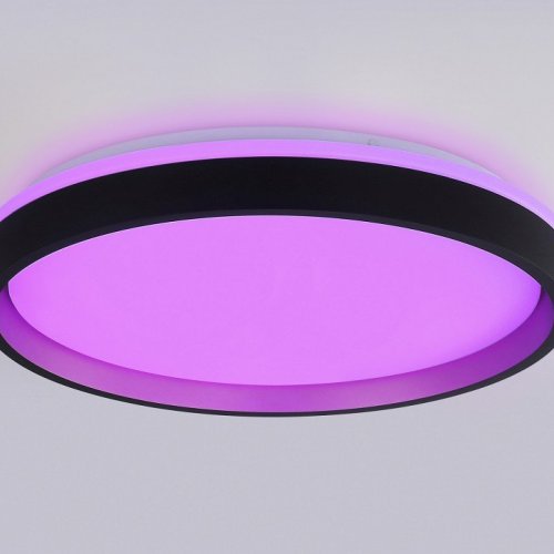 Накладной светильник Ambrella Light FZ FZ610