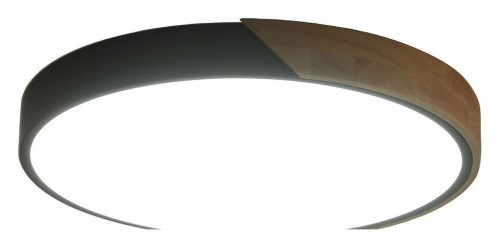 Потолочный светильник Zortes Alberro ZRS.01280.90