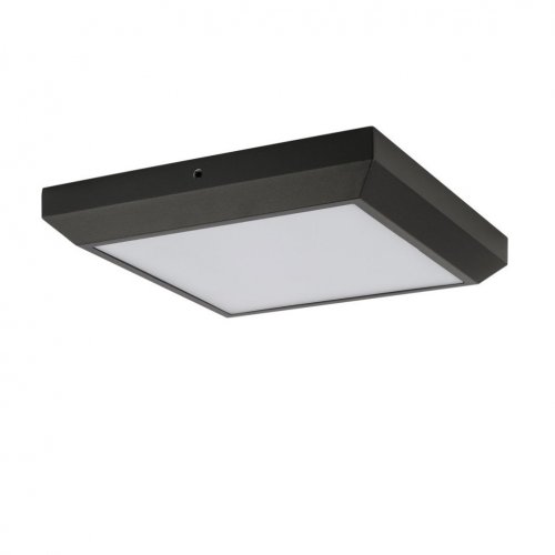 Потолочный светильник уличный Oasis Light SIDNEY LED W1021 Gr Потолочный светильник уличный Oasis Light SIDNEY LED W1021 Gr
