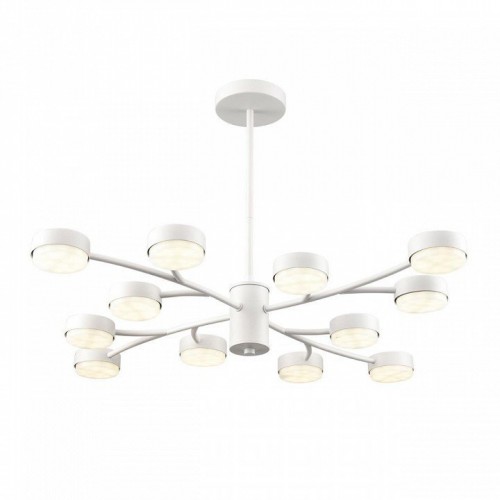 Потолочная люстра Lumion Torina 8265/12