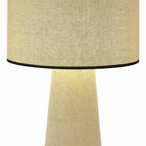 Интерьерная настольная лампа ST Luce Jackie SL1354.504.01