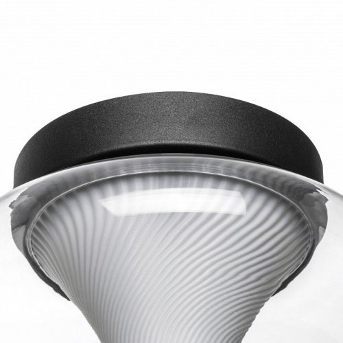 Настенно-потолочный светильник Lightstar Palermo 612017