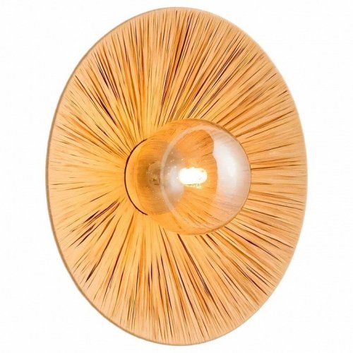 Настенный светильник Lussole Sunflower LSP-5009