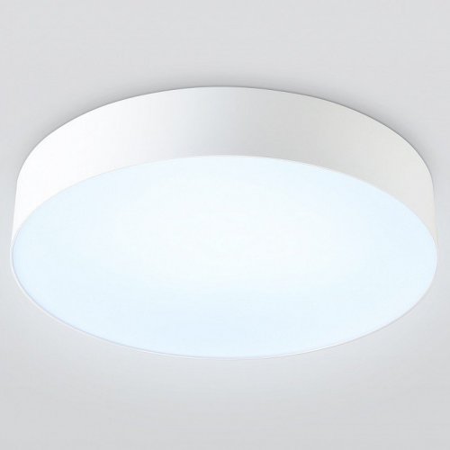 Потолочный светильник Orbital FZ1350