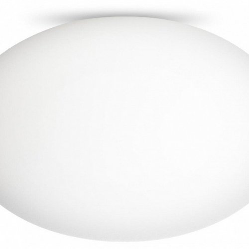 Настенно-потолочный светильник Citilux Ron CL941E28
