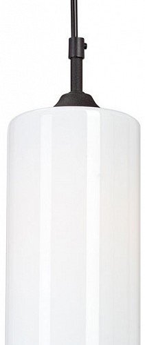 Подвесной светильник Vitaluce V2952 V2952-1/1S Подвесной светильник Vitaluce V2952 V2952-1/1S