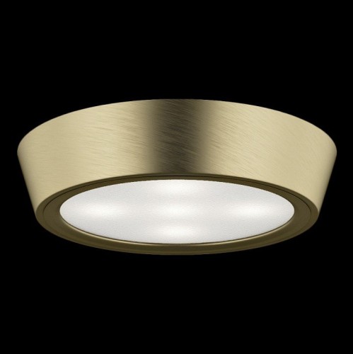 Настенно-потолочный светильник Lightstar Urbano 214914