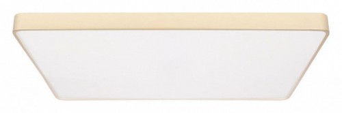 Потолочный светильник Loft IT Flims 10228/E