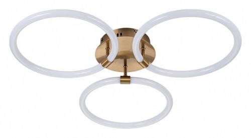 Потолочная светодиодная люстра Escada Tube 10279/3LED