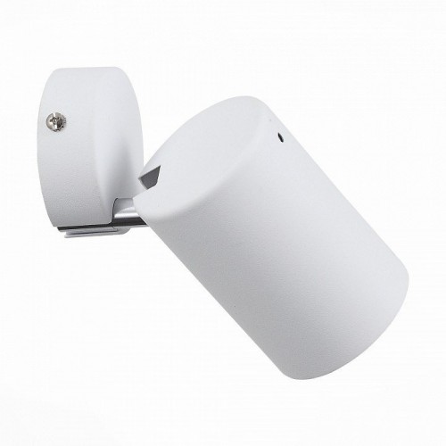 Настенно-потолочный светильник ST Luce Fanale SL597.501.01