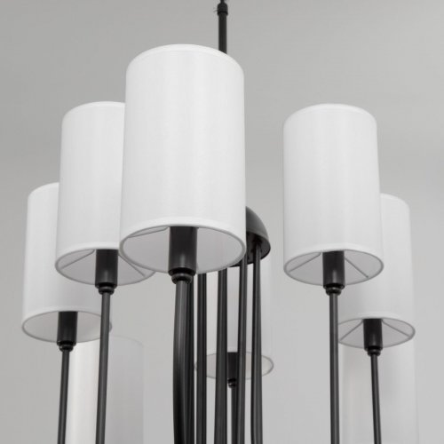 Подвесная люстра Eurosvet Abbey 60164/10 черный Smart