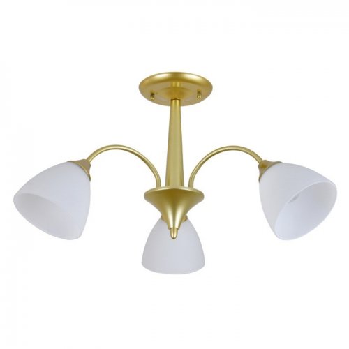 Потолочная люстра Ilex ES0000032