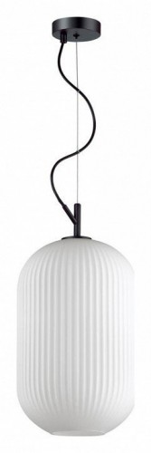 Подвесной светильник Odeon Light Roofi 4752/1