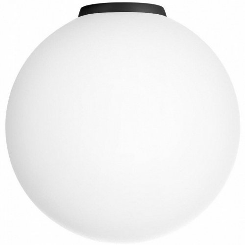 Настенно-потолочный светильник Citilux Ron CL941D25B5