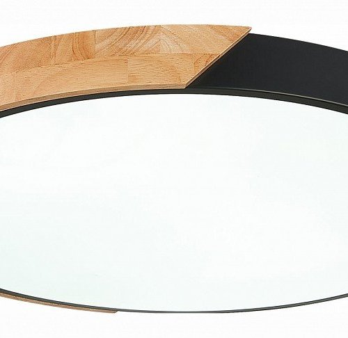 Потолочный светодиодный светильник Evoluce Festa SLE200942-01