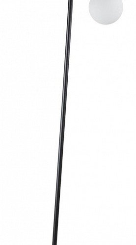 Торшер Dexter 6500/1F