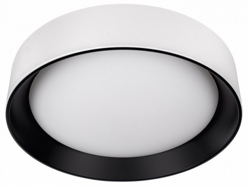 Потолочный светильник Loft IT Coin 10202 WB