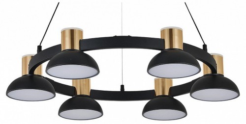 Подвесная люстра Indigo Traforo 11059/6P Black