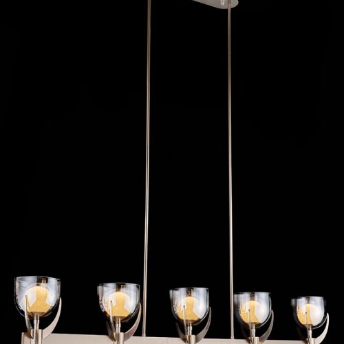 Подвесная люстра Kelly LE3055/5L GD